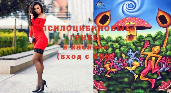 бошки Каменск-Шахтинский