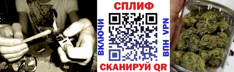 Бошки Шишки гибрид  Купить закладки  Почеп 